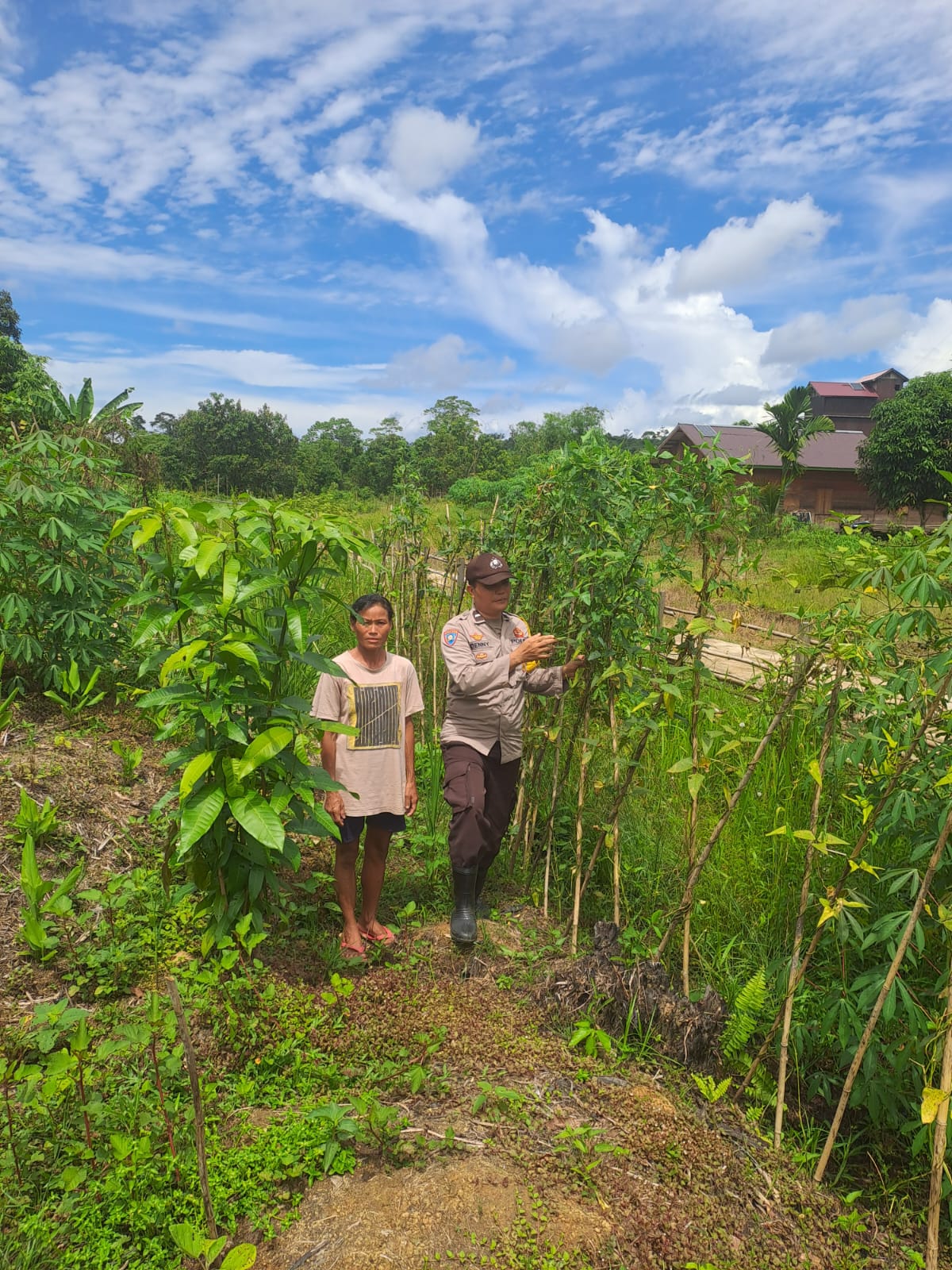 Mendukung Ketahanan Pangan, Personil Polsek Katingan Hulu dan Bukit Raya Cek Lokasi Pemanfaatan Pekarangan Warga.