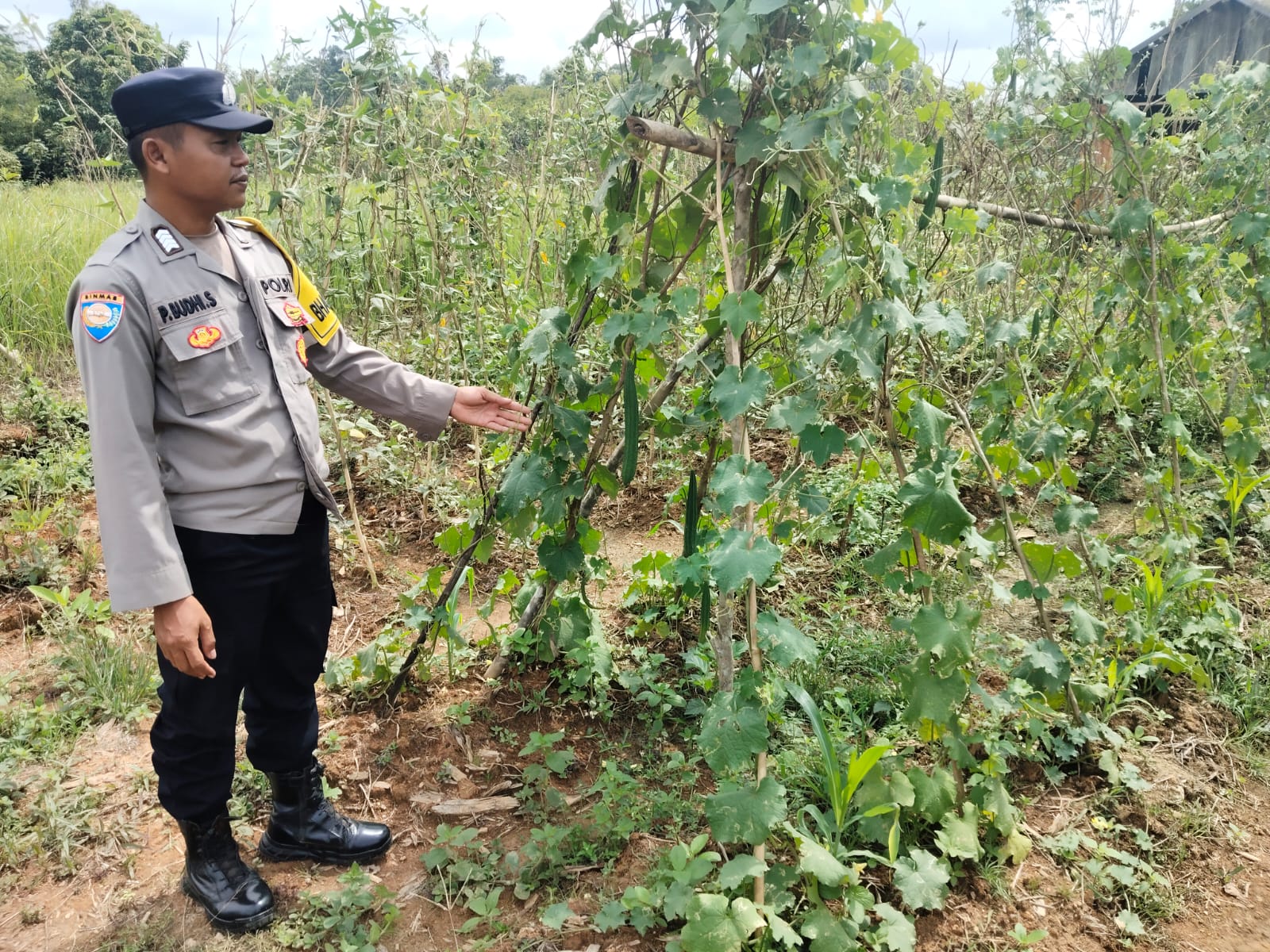 Mendukung Ketahanan Pangan, Personil Polsek sanaman mantikei Cek Lokasi Pemanfaatan Pekarangan Warga.