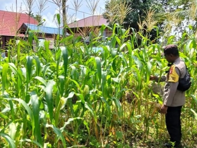 Personil Polsek Marikit Cek Lokasi Pemanfaatan Pekarangan Warga di Kec. Marikit, Kab. Katingan.