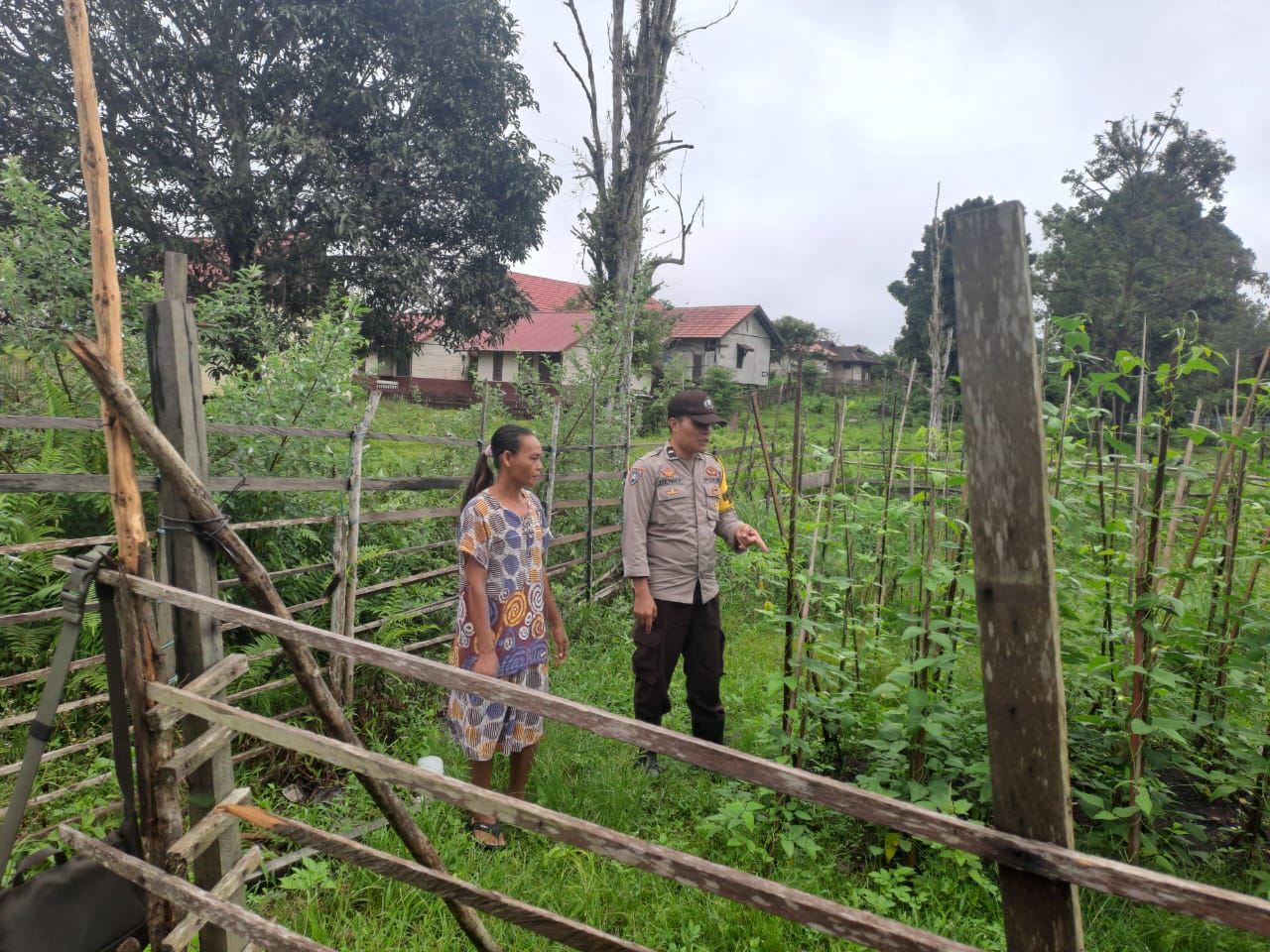 Mendukung Ketahanan Pangan, Personil Polsek Katingan Hulu dan Bukit Raya Cek Lokasi Pemanfaatan Pekarangan Warga.