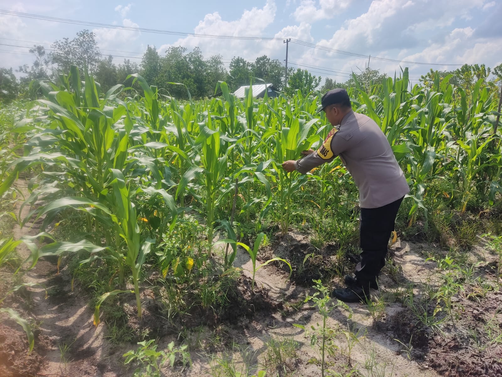Personel Polsek Tewang Sangalang Garing dan Pulau Malan melaksanakan pengecekan lokasi pemanfaatan lahan pekarangan warga Binaannya
