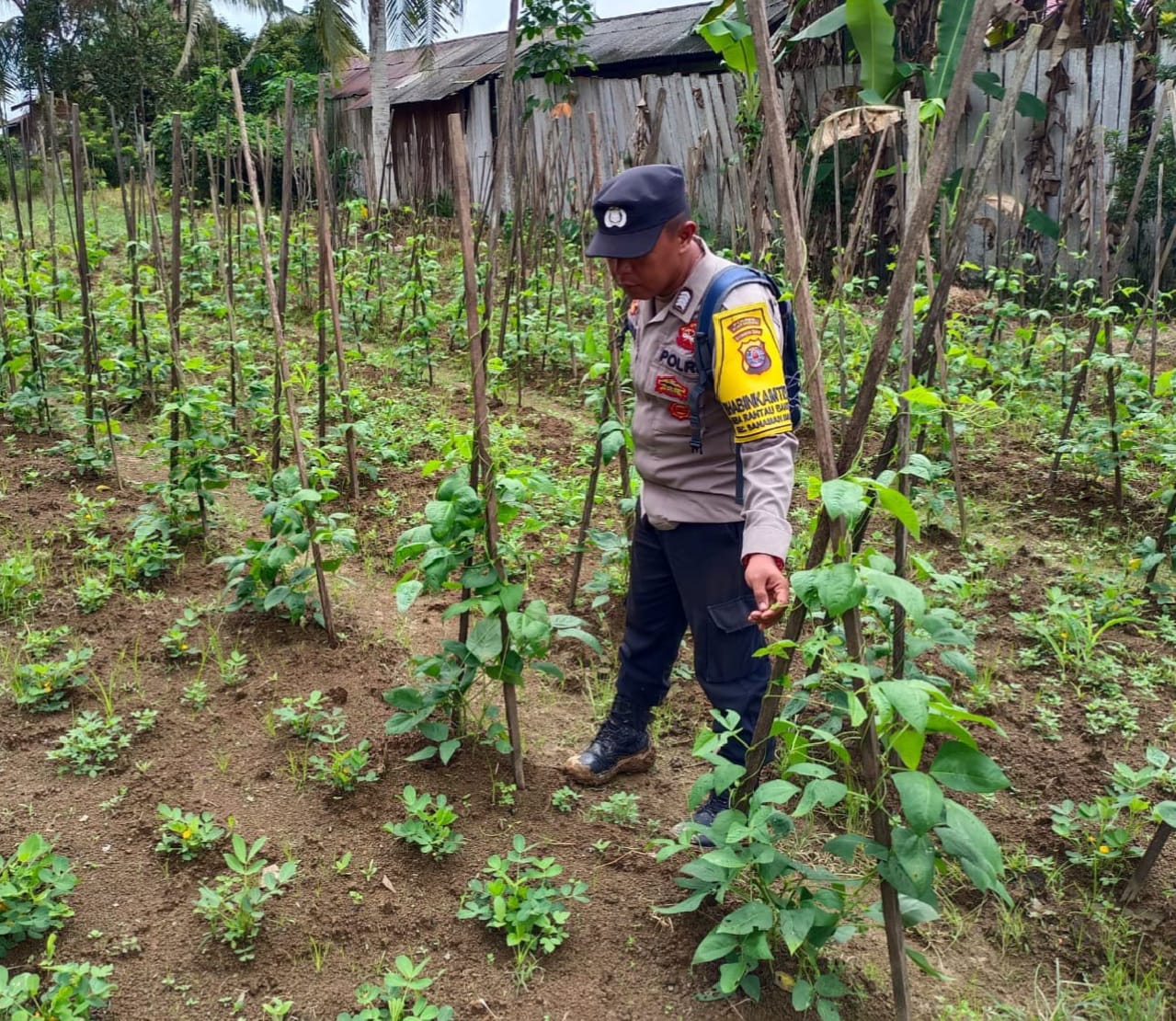 Bhabinkamtibmas Desa Rantau Bangkiang Sosialisasi Bahaya penyalahgunaan Narkoba.