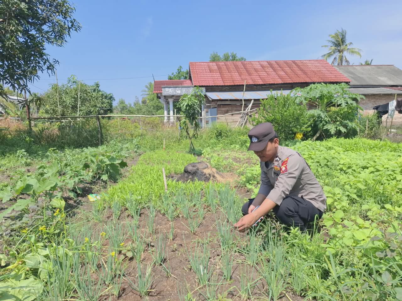 Mendukung ketahanan pangan, Personil Polsek Katingan Kuala cek lokasi pemanfaatan lahan warga berkebun holtikultura