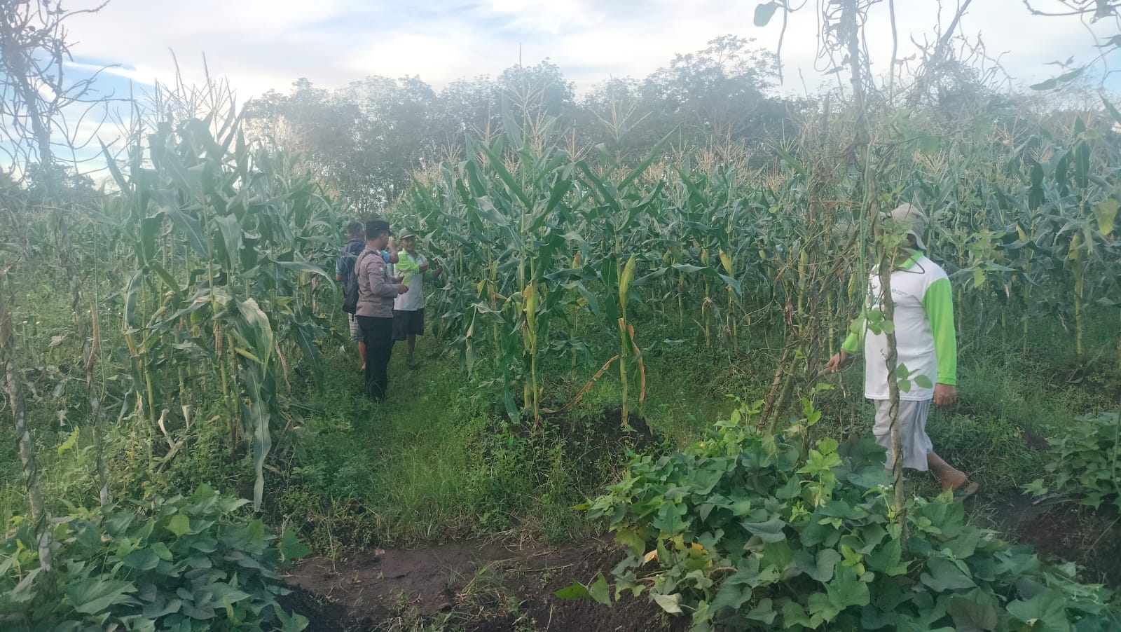 Bhabinkamtibmas Polsek Mendawai cek lokasi pemanfaatan pekarangan rumah warga binaan.