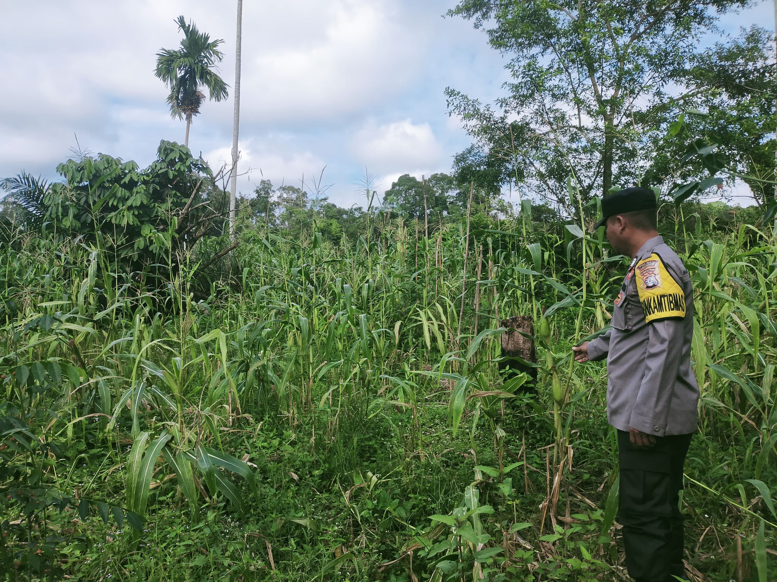 Mendukung Ketahanan Pangan, Personil Polsek sanaman mantikei Cek Lokasi Pemanfaatan Pekarangan Warga.