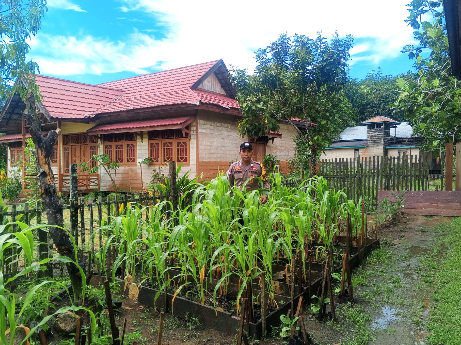 Mendukung Ketahanan Pangan, Personil Polsek Katingan Hulu Cek Lokasi Pemanfaatan Pekarangan Warga.