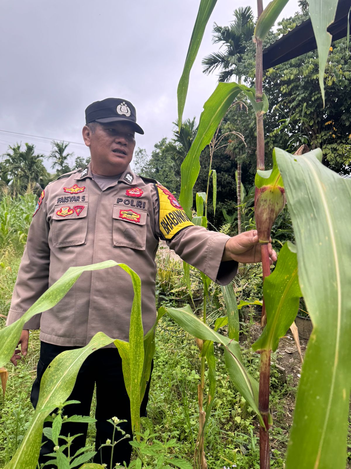 Polsek Tewang Sangalang Garing dan Pulau Malan Imbau Warga Tingkatkan Pemanfaatan Lahan Untuk Ketahanan Pangan