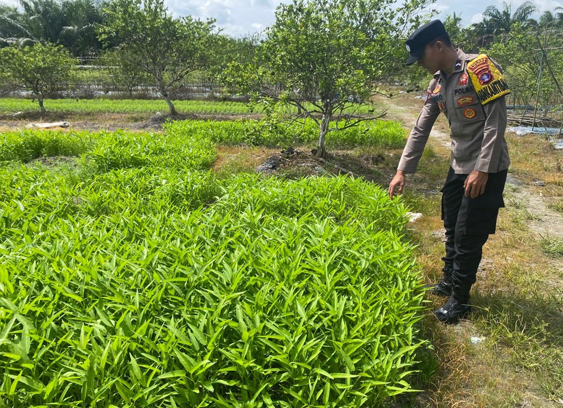 Personel Polsek Tewang Sangalang Garing dan Pulau Malan melaksanakan pengecekan lokasi pemanfaatan lahan pekarangan warga Binaannya
