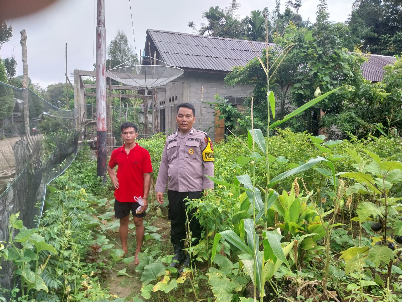 Dari Pekarangan Menjadi Harapan, Bhabinkamtibmas Dorong Ketahanan Pangan Warga Nanga Belantikan
