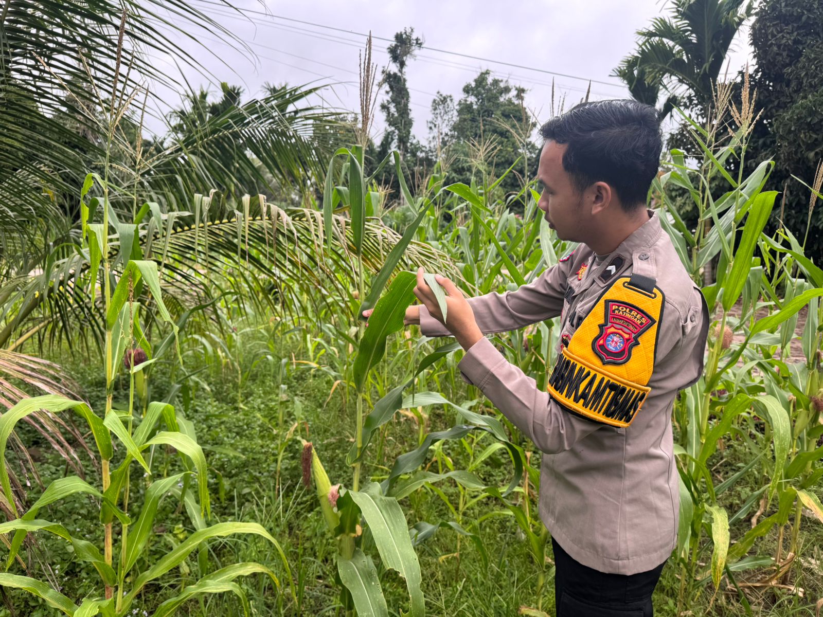 Polsek Tewang Sangalang Garing dan Pulau Malan Imbau Warga Tingkatkan Pemanfaatan Lahan Untuk Ketahanan Pangan