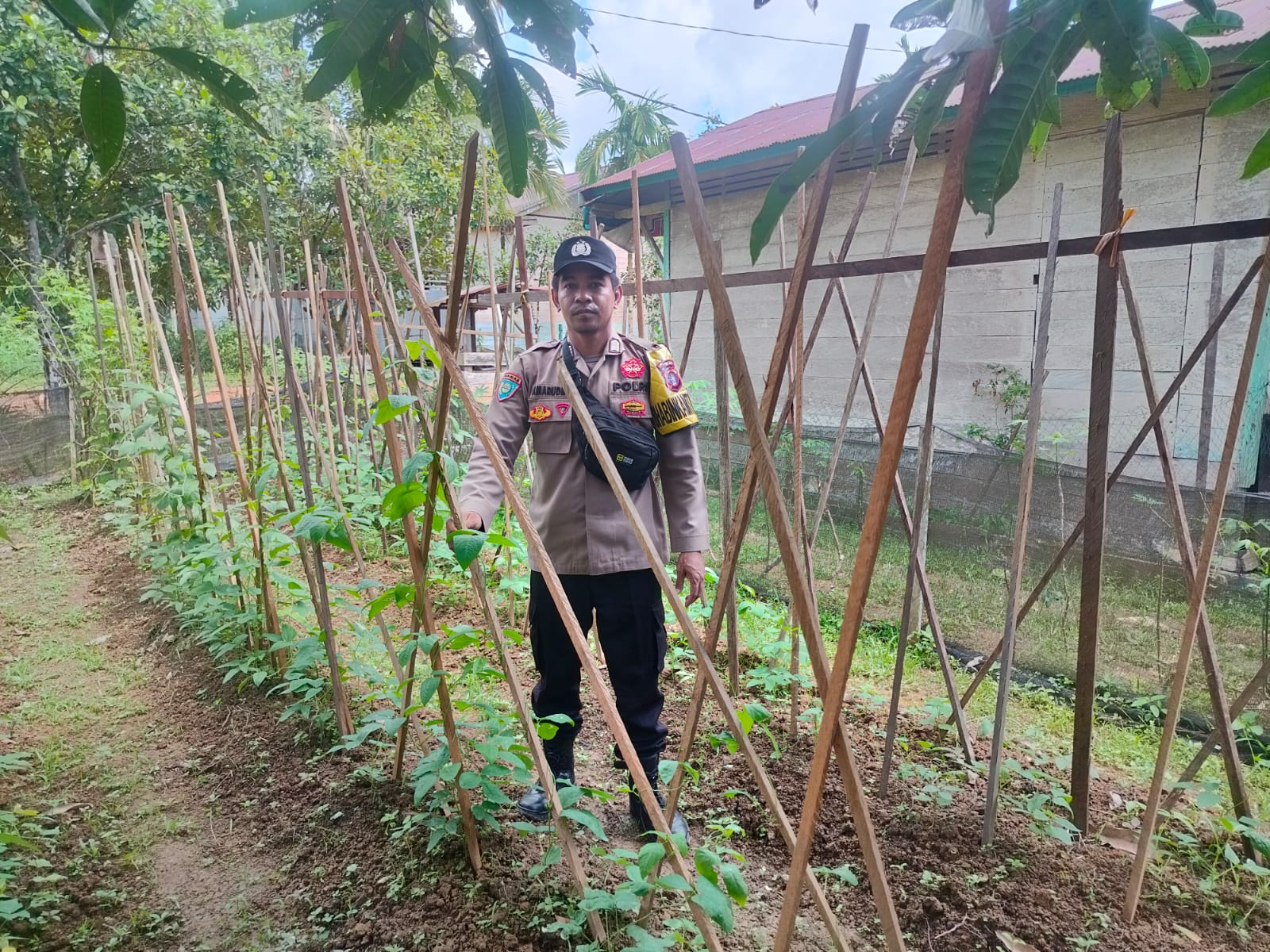 Saat Pekarangan Menjadi Kekuatan Pangan, Polsek Marikit Turut Bergerak