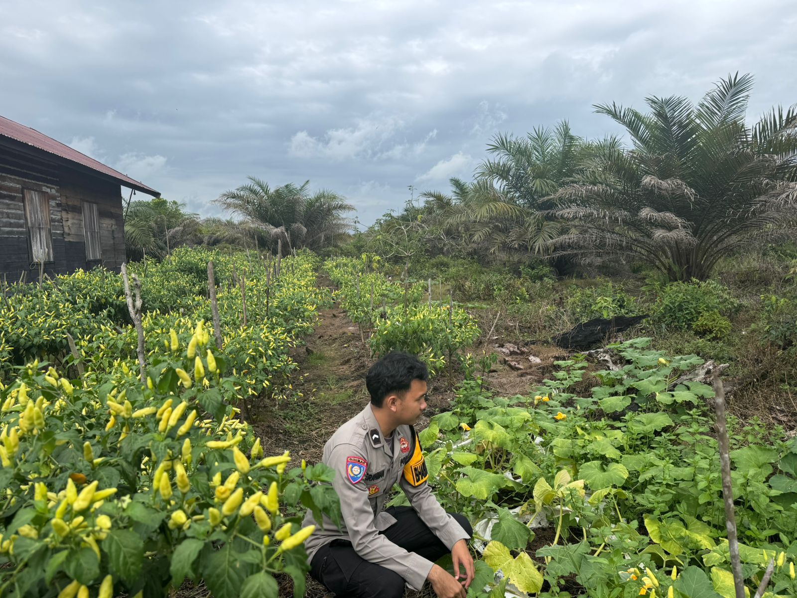 ‎Polsek Tewang Sangalang Garing dan Pulau Malan Imbau Warga Tingkatkan Pemanfaatan Lahan Untuk Ketahanan Pangan