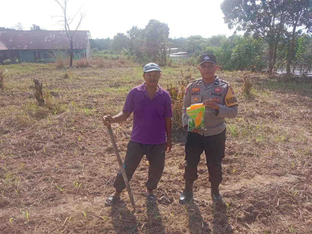 Perkuat Ketahanan Pangan dari Desa, Bhabinkamtibmas Kawal Penanaman Jagung di Kujan