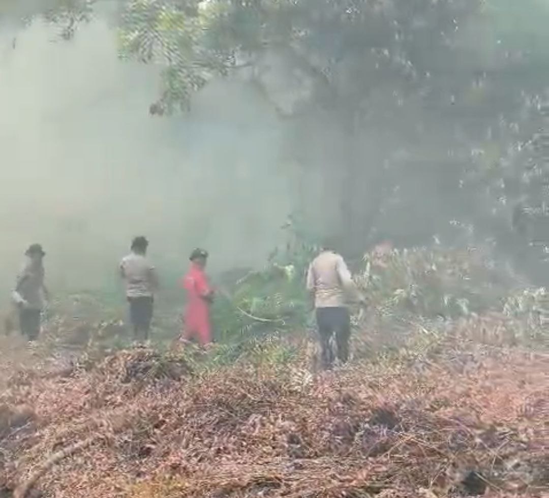 Satgas Aman Nusa II Polda Kalteng Berjibaku Padamkan Karhutla di Sabangau