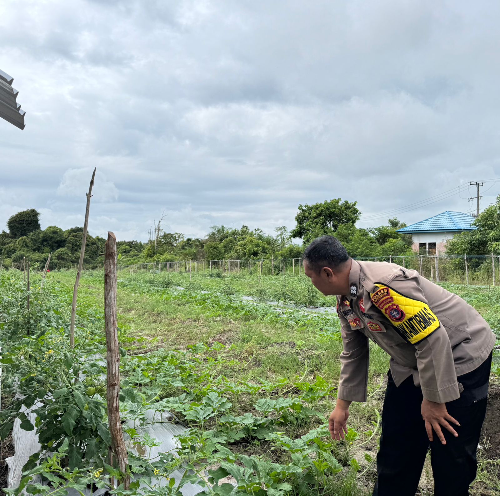Polsek Tewang Sangalang Garing dan Pulau Malan Imbau Warga Tingkatkan Pemanfaatan Lahan Untuk Ketahanan Pangan