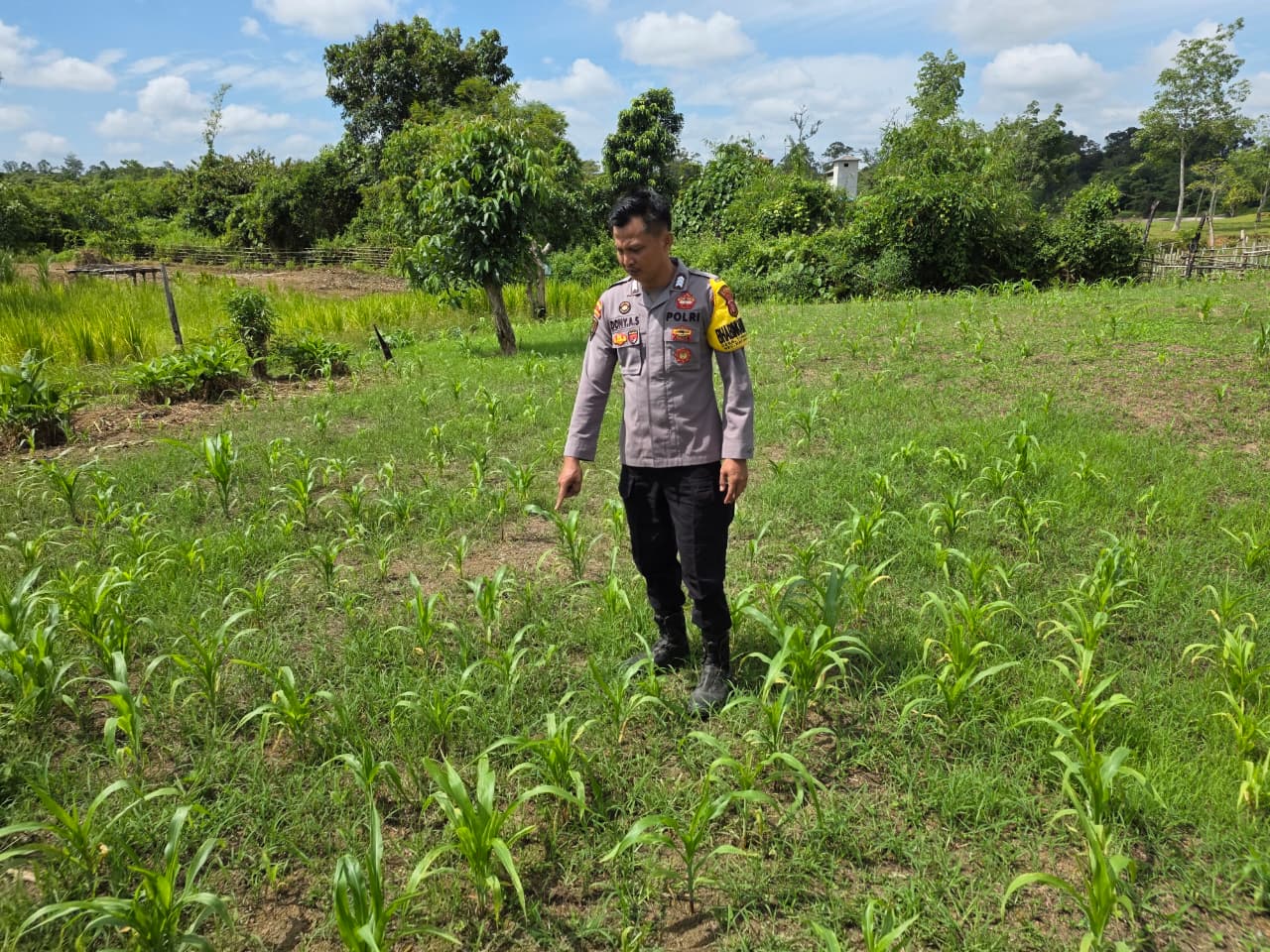 Mendukung Ketahanan Pangan, Personil Polsek Katingan Hulu  Cek Lokasi Pemanfaatan Pekarangan Warga.