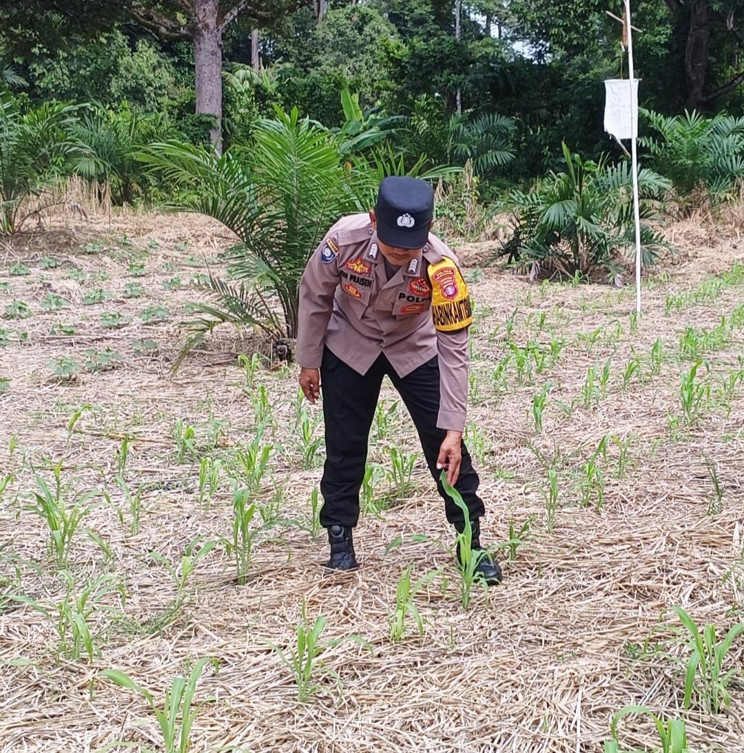 Personel Polsek Tewang Sangalang Garing dan Pulau Malan melaksanakan pengecekan lokasi pemanfaatan lahan pekarangan warga Binaannya