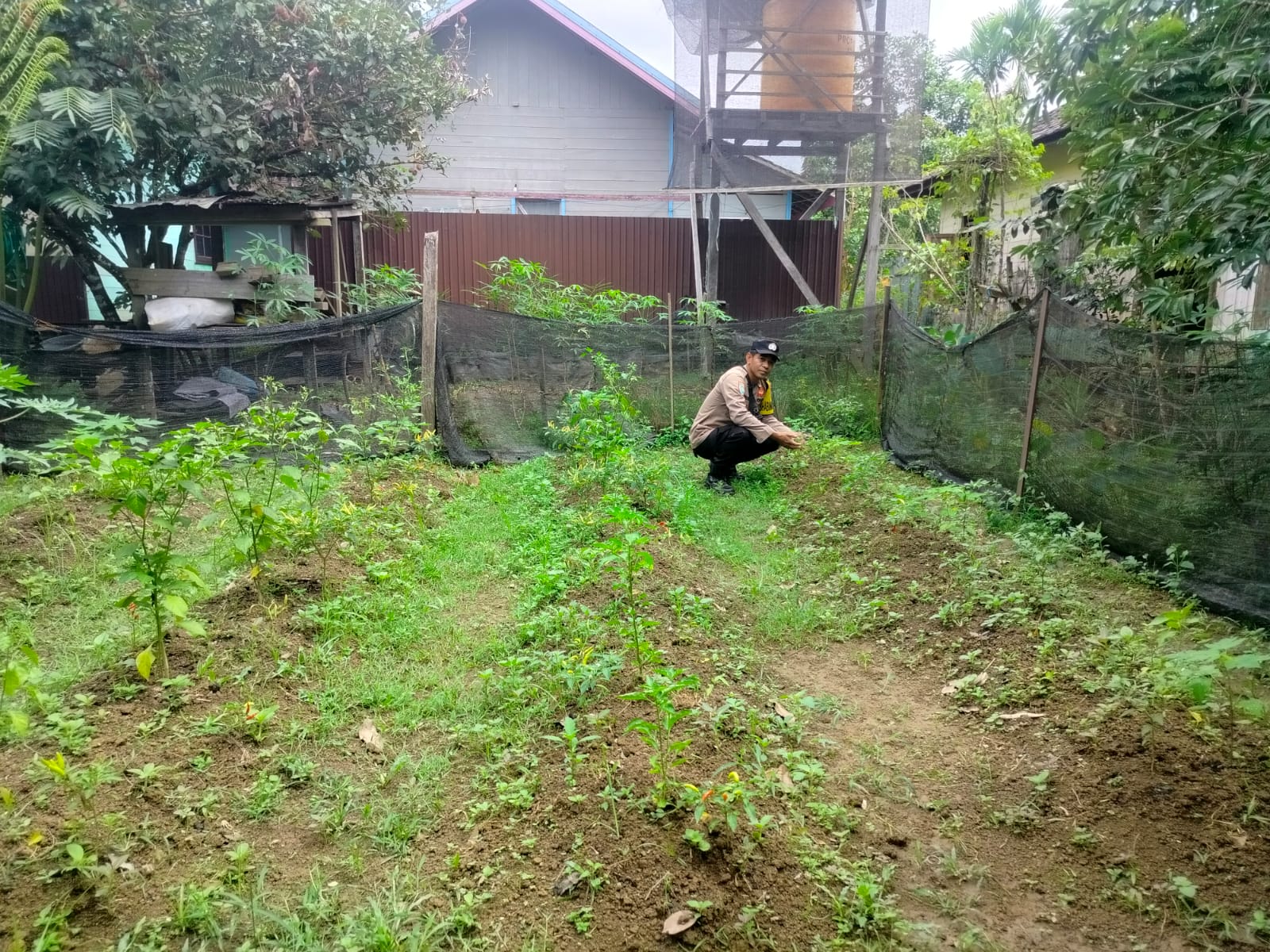 Polsek Marikit Dorong Kemandirian Pangan Masyarakat dan Peningkatan Kesejahteraan Ekonomi Keluarga