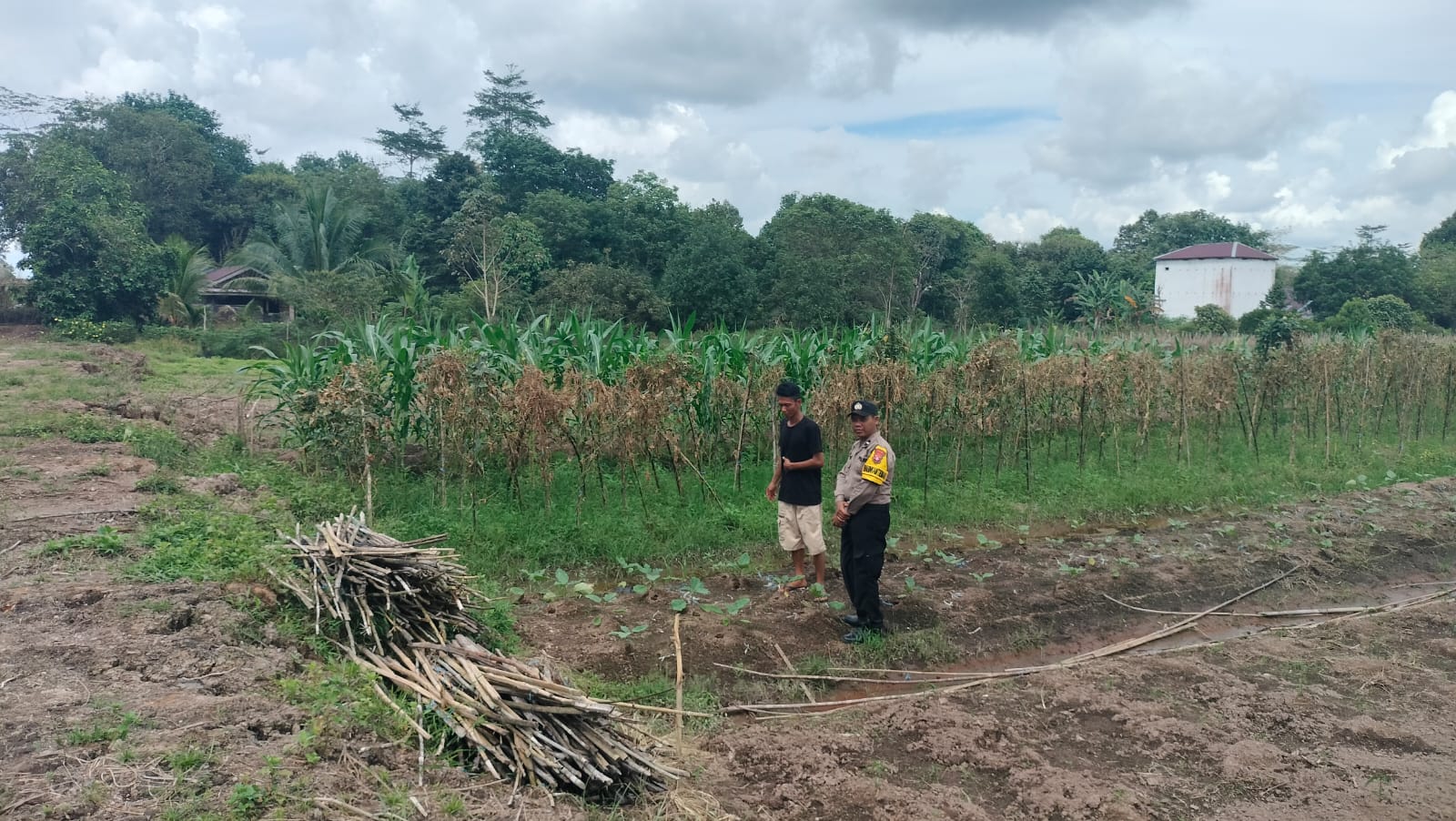 Dalam Rangka Mendukung Program Pemerintah, Bhabinkamtibmas Desa Mekartani Polsek Mendawai Cek Lokasi Pemanfaatan Lahan Pekarangan Warga