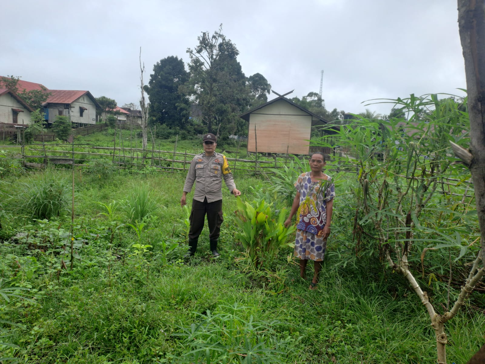Mendukung Ketahanan Pangan, Personil Polsek Katingan Hulu dan Bukit Raya Cek Lokasi Pemanfaatan Pekarangan Warga.