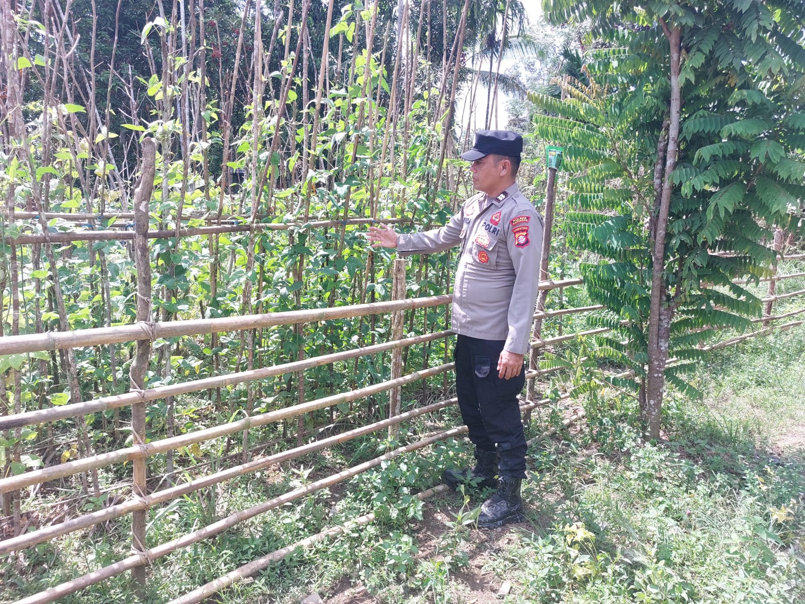 Dari Pekarangan ke Ketahanan: Peran Aktif Polsek Marikit Bangun Kemandirian Pangan