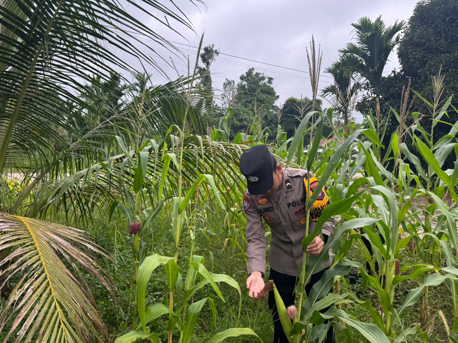 Polsek Tewang Sangalang Garing dan Pulau Malan Imbau Warga Tingkatkan Pemanfaatan Lahan Untuk Ketahanan Pangan