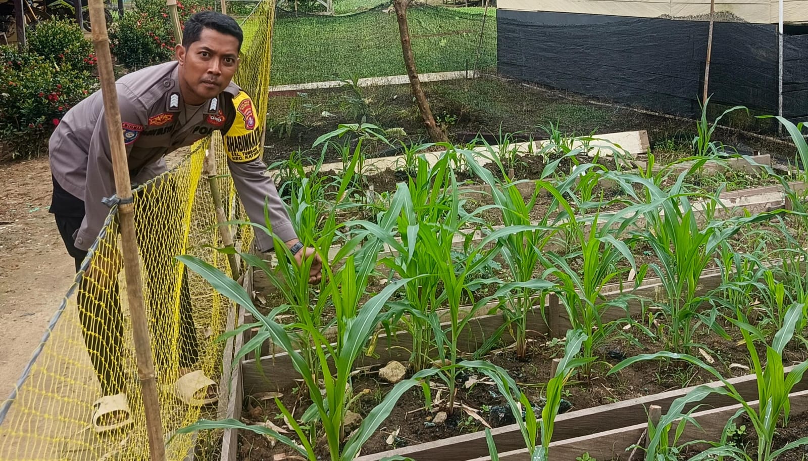 ‎Mendukung Ketahanan Pangan, Personil Polsek Katingan Hulu Cek Lokasi Pemanfaatan Pekarangan Warga.