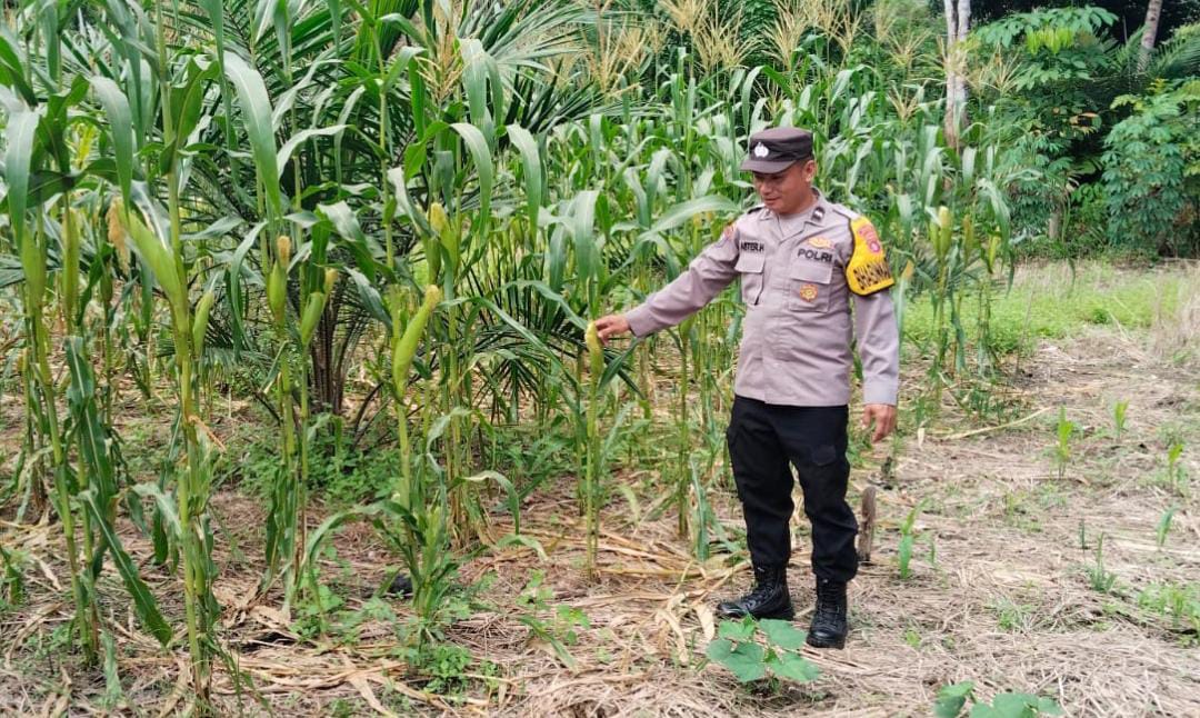 Personel Polsek Tewang Sangalang Garing dan Pulau Malan melaksanakan pengecekan lokasi pemanfaatan lahan pekarangan warga Binaannya