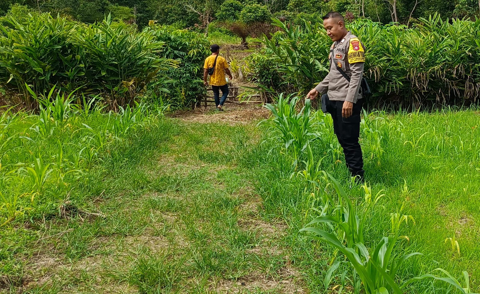 ‎Mendukung Ketahanan Pangan, Personil Polsek Katingan Hulu  Cek Lokasi Pemanfaatan Pekarangan Warga.‎