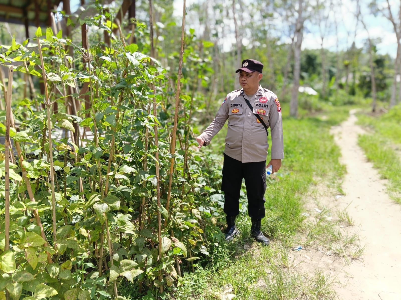 DUKUNG KETAHANAN PANGAN NASIONAL, POLSEK MARIKIT DAMPINGI PETANI DI TUMBANG HIRAN