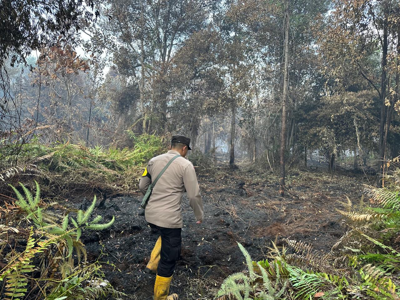 Gerak Cepat Cek Hotspot, Polisi Pastikan Karhutla di Tasik Payawan Terkendali