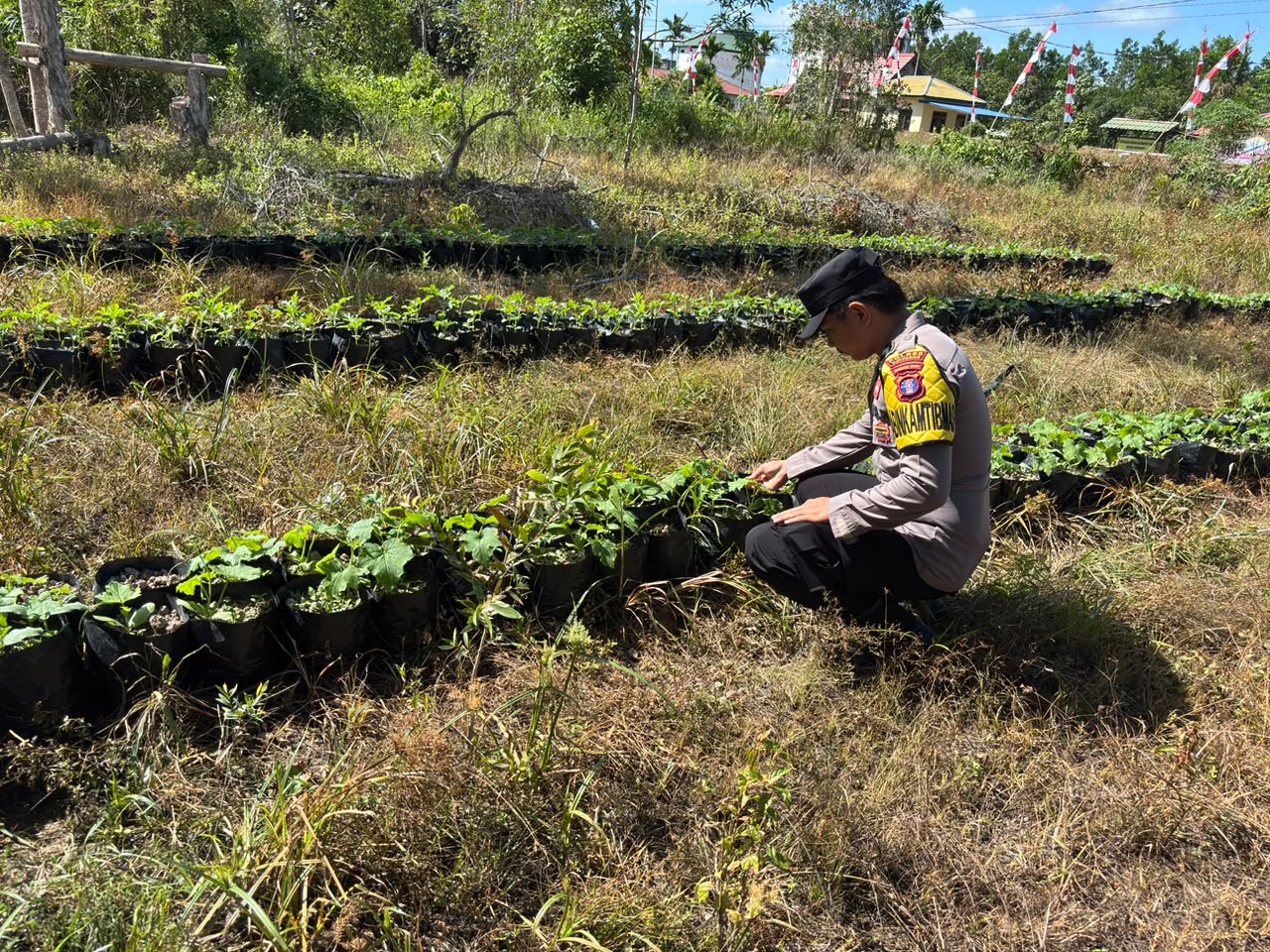 Dalam Rangka Mendukung Program Pemerintah, Bhabinkamtibmas Desa Mendawai Polsek Mendawai Cek Lokasi Pemanfaatan Lahan Pekarangan Warga