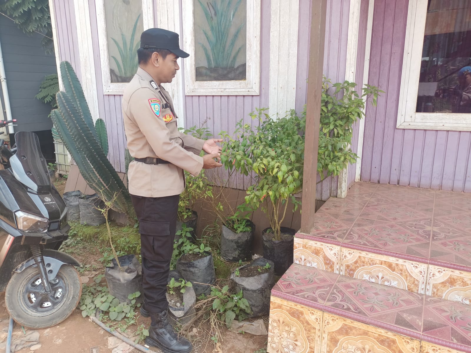 Polsek Marikit Tak Biarkan Pekarangan Subur Luput dari Perhatian
