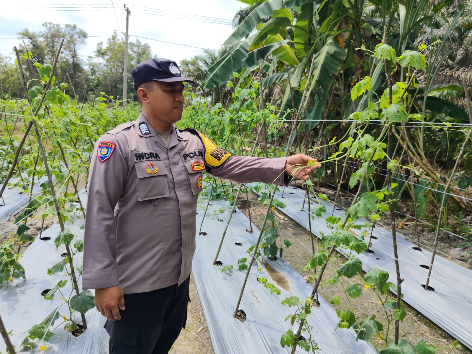 Personel Polsek Tewang Sangalang Garing dan Pulau Malan melaksanakan pengecekan lokasi pemanfaatan lahan pekarangan warga Binaannya