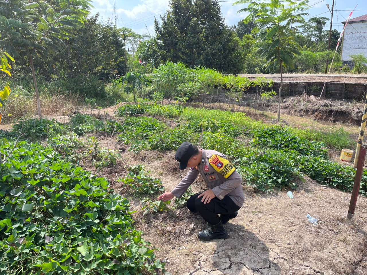 Dalam Rangka Mendukung Program Pemerintah, Bhabinkamtibmas Desa Mendawai Polsek Mendawai Cek Lokasi Pemanfaatan Lahan Pekarangan Warga