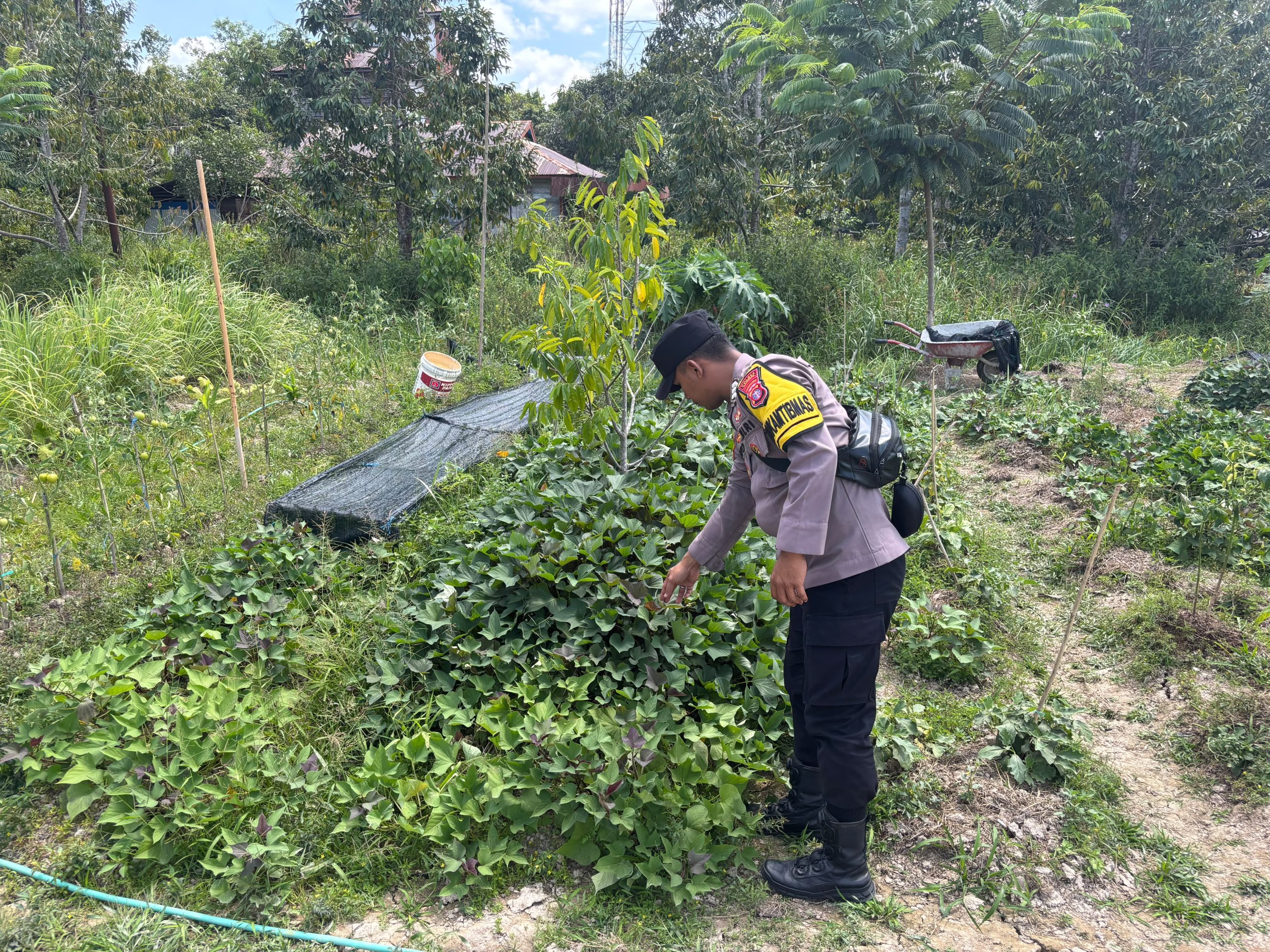 Bhabinkamtibmas Polsek Mendawai cek lokasi pemanfaatan pekarangan rumah warga binaan.