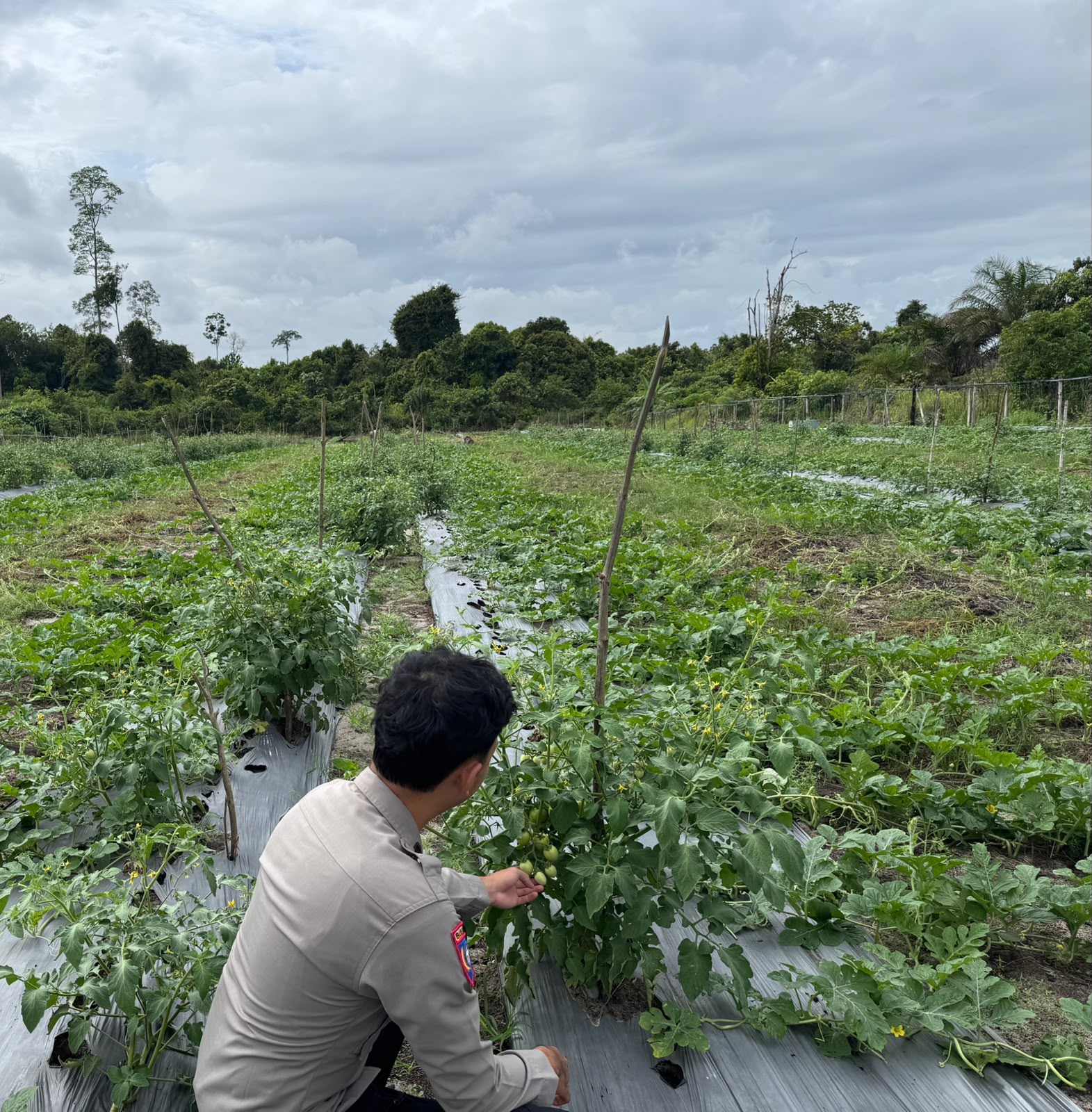 Polsek Tewang Sangalang Garing dan Pulau Malan Imbau Warga Tingkatkan Pemanfaatan Lahan Untuk Ketahanan Pangan