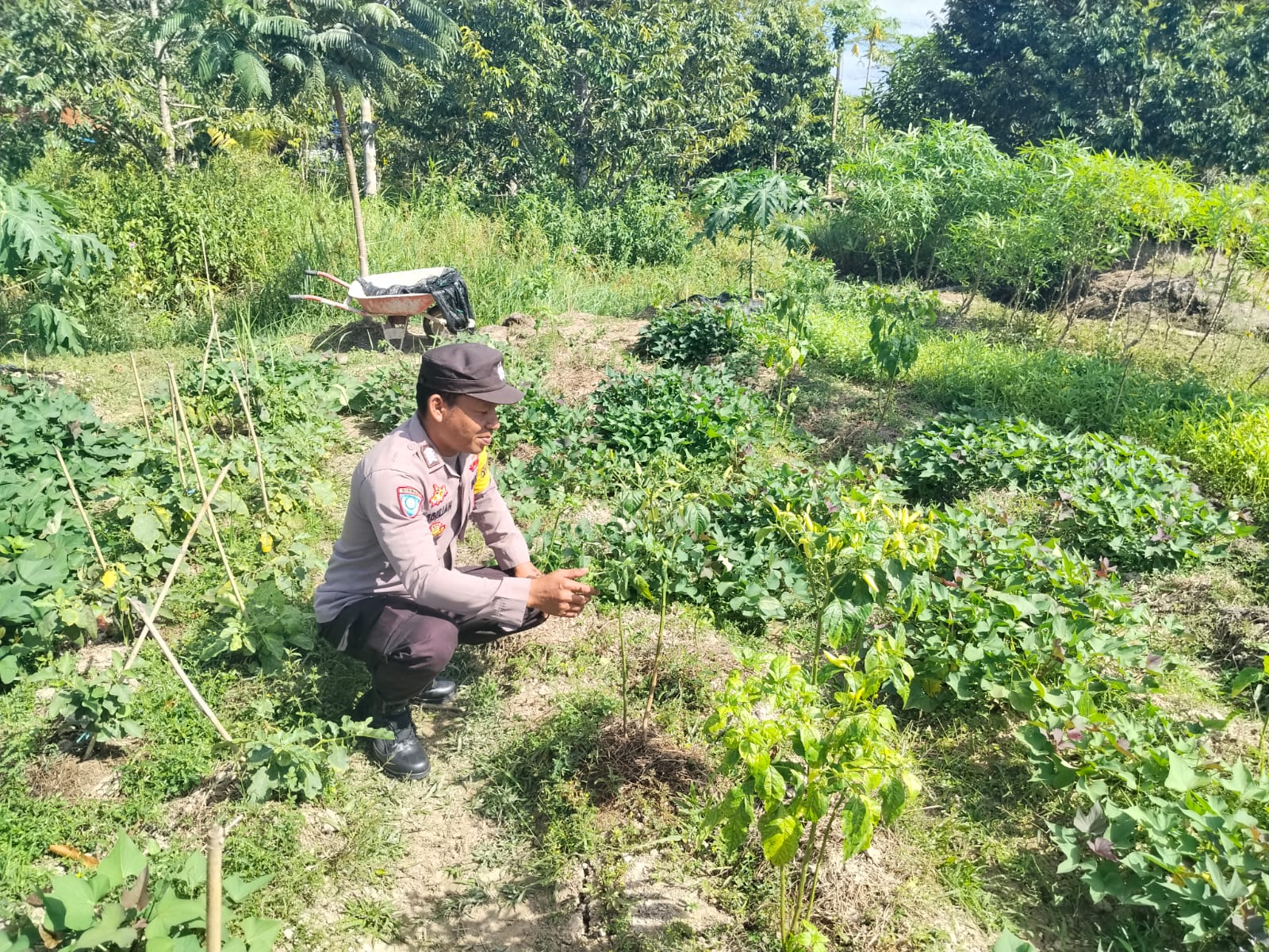 Dalam Rangka Mendukung Program Pemerintah, Bhabinkamtibmas Desa Tewang Kampung Polsek Mendawai Cek Lokasi Pemanfaatan Lahan Pekarangan Warga