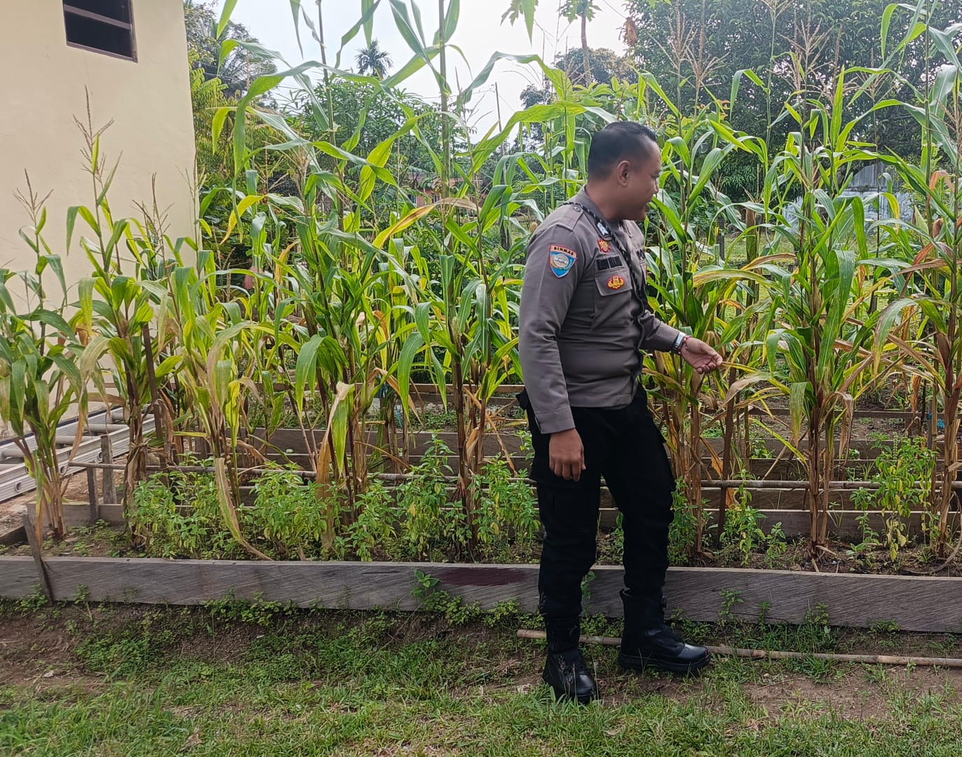 ‎Mendukung Ketahanan Pangan, Personil Polsek Katingan Hulu  Cek Lokasi Pemanfaatan Pekarangan Warga.
