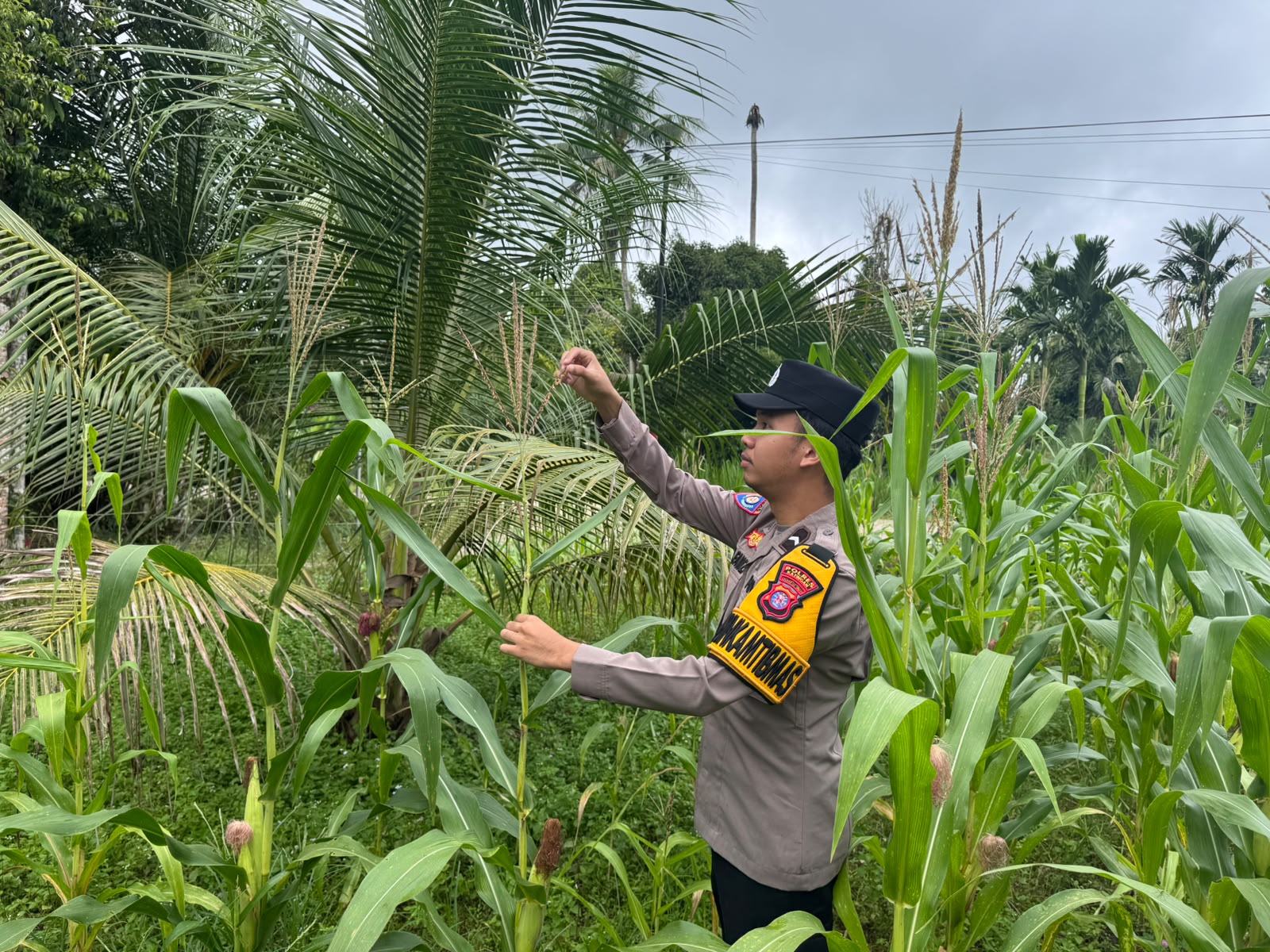 Polsek Tewang Sangalang Garing dan Pulau Malan Imbau Warga Tingkatkan Pemanfaatan Lahan Untuk Ketahanan Pangan