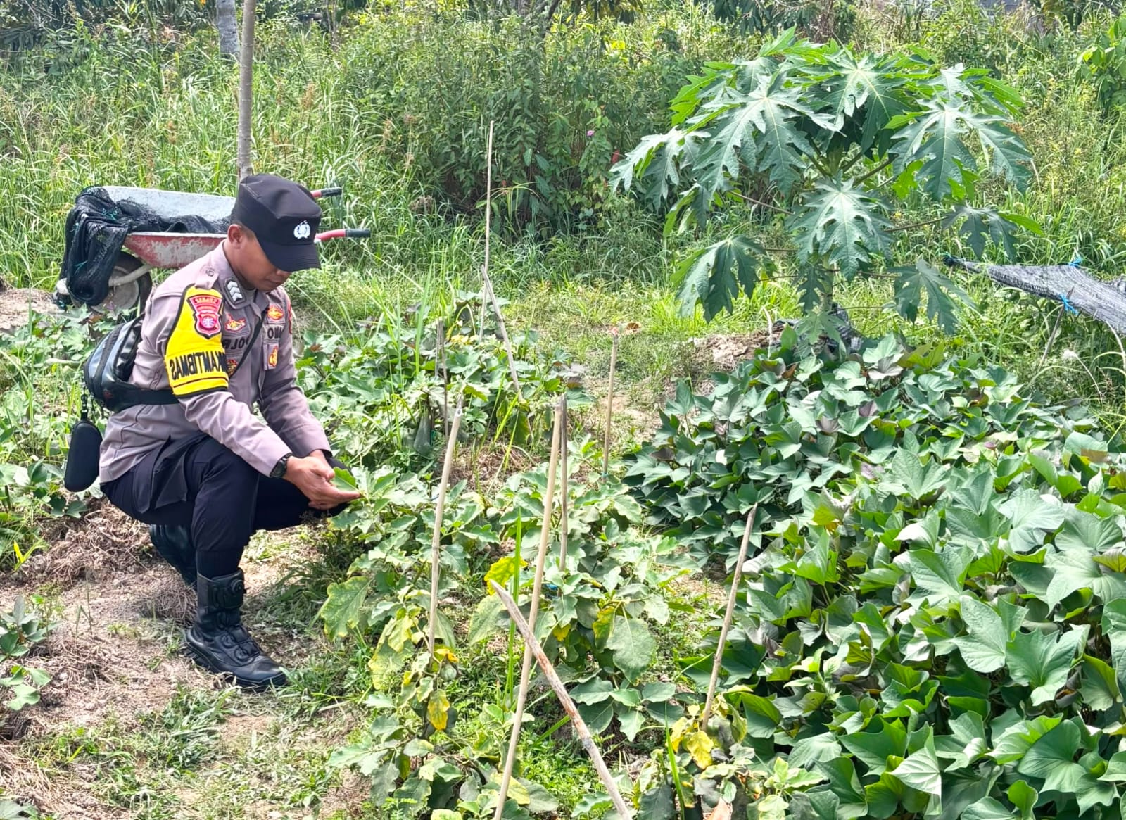 Bhabinkamtibmas Polsek Mendawai cek lokasi pemanfaatan pekarangan rumah warga binaan.