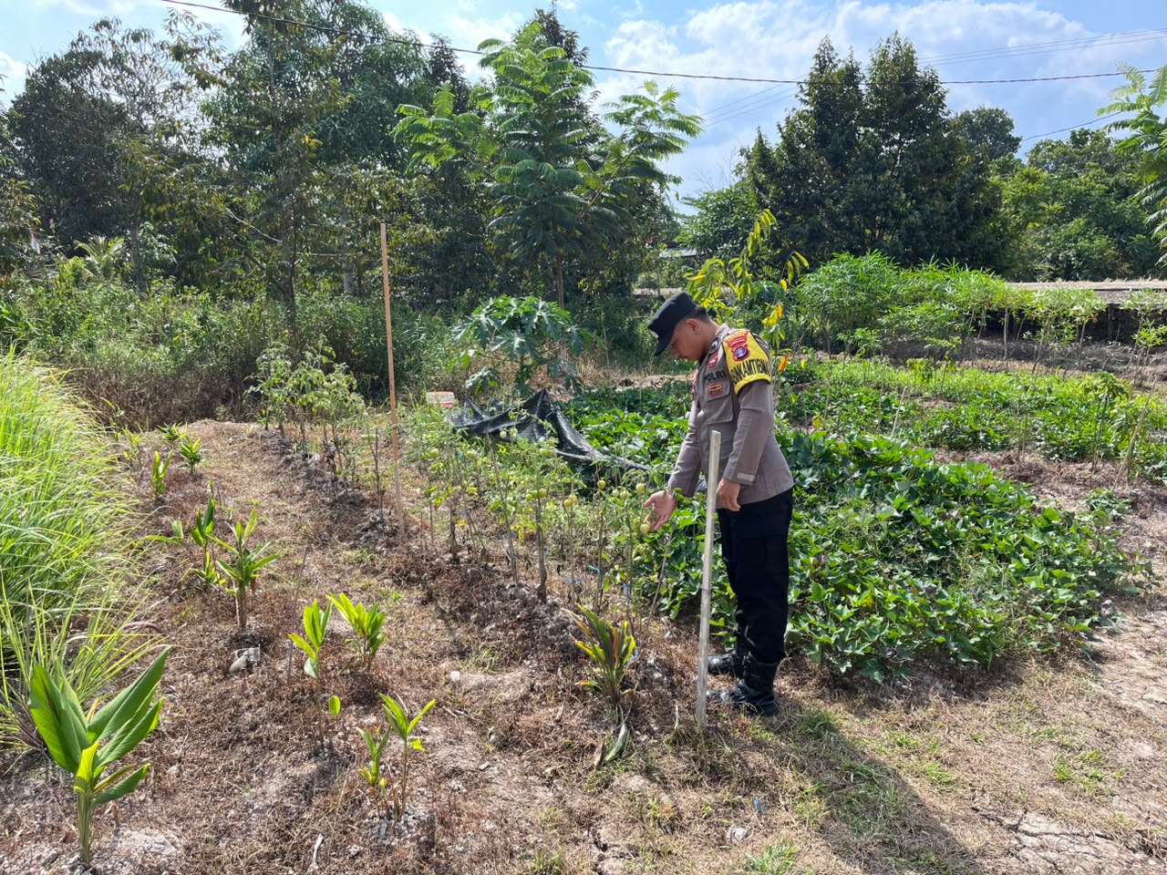 Dalam Rangka Mendukung Program Pemerintah, Bhabinkamtibmas Desa Mendawai Polsek Mendawai Cek Lokasi Pemanfaatan Lahan Pekarangan Warga