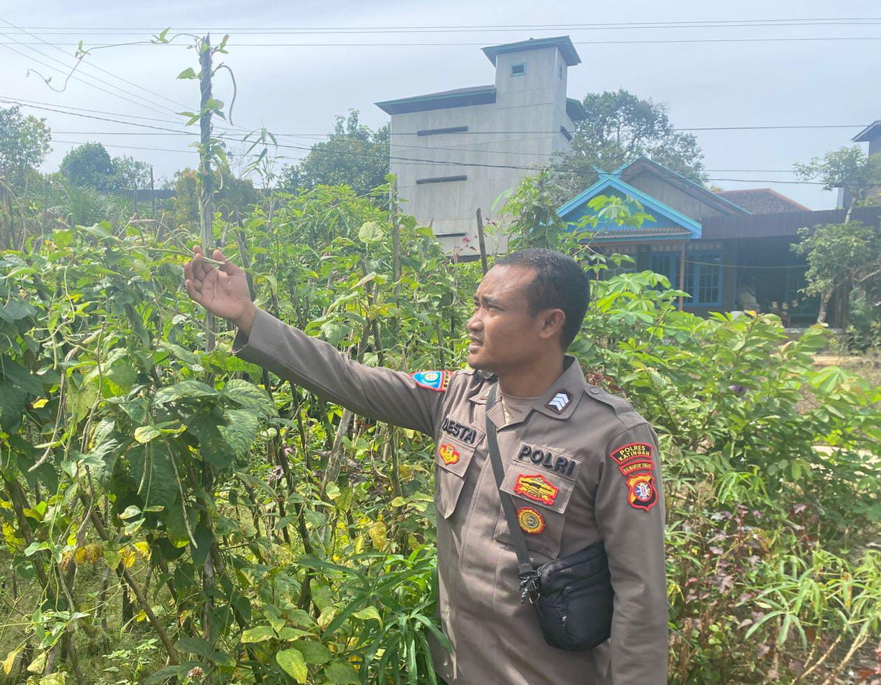 Mendukung Ketahanan Pangan, Personil Polsek sanaman mantikei Cek Lokasi Pemanfaatan Pekarangan Warga.