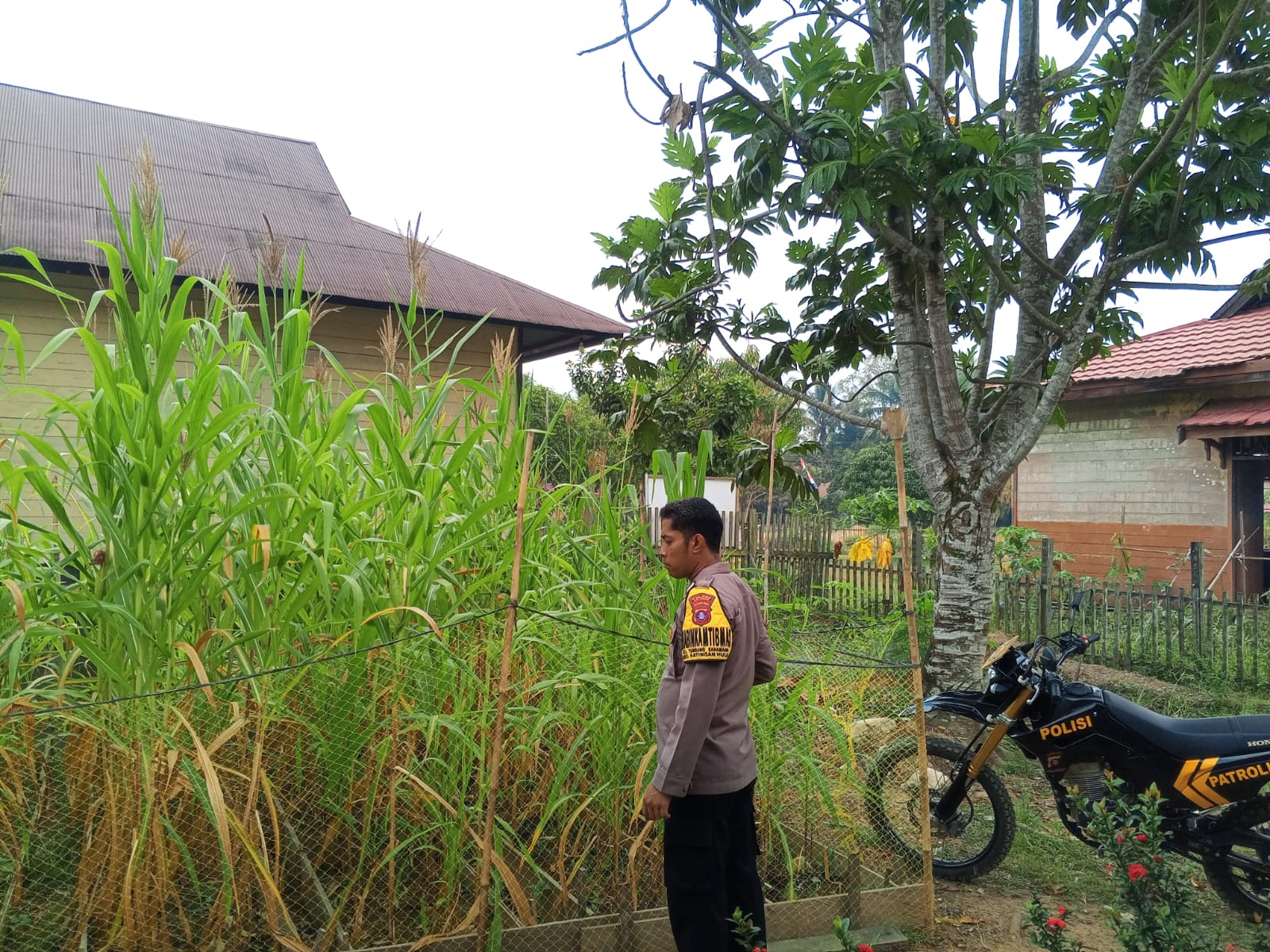 ‎Mendukung Ketahanan Pangan, Personil Polsek Katingan Hulu Cek Lokasi Pemanfaatan Pekarangan Warga.‎