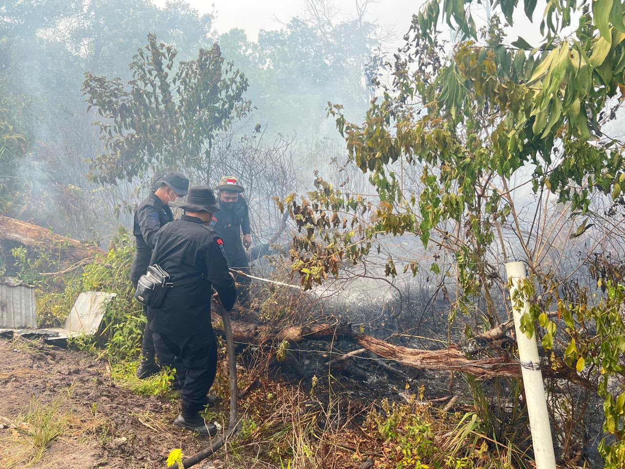 Personel Satbrimob Polda Kalteng Gerak Cepat Padamkan Karhutla di Palangka Raya