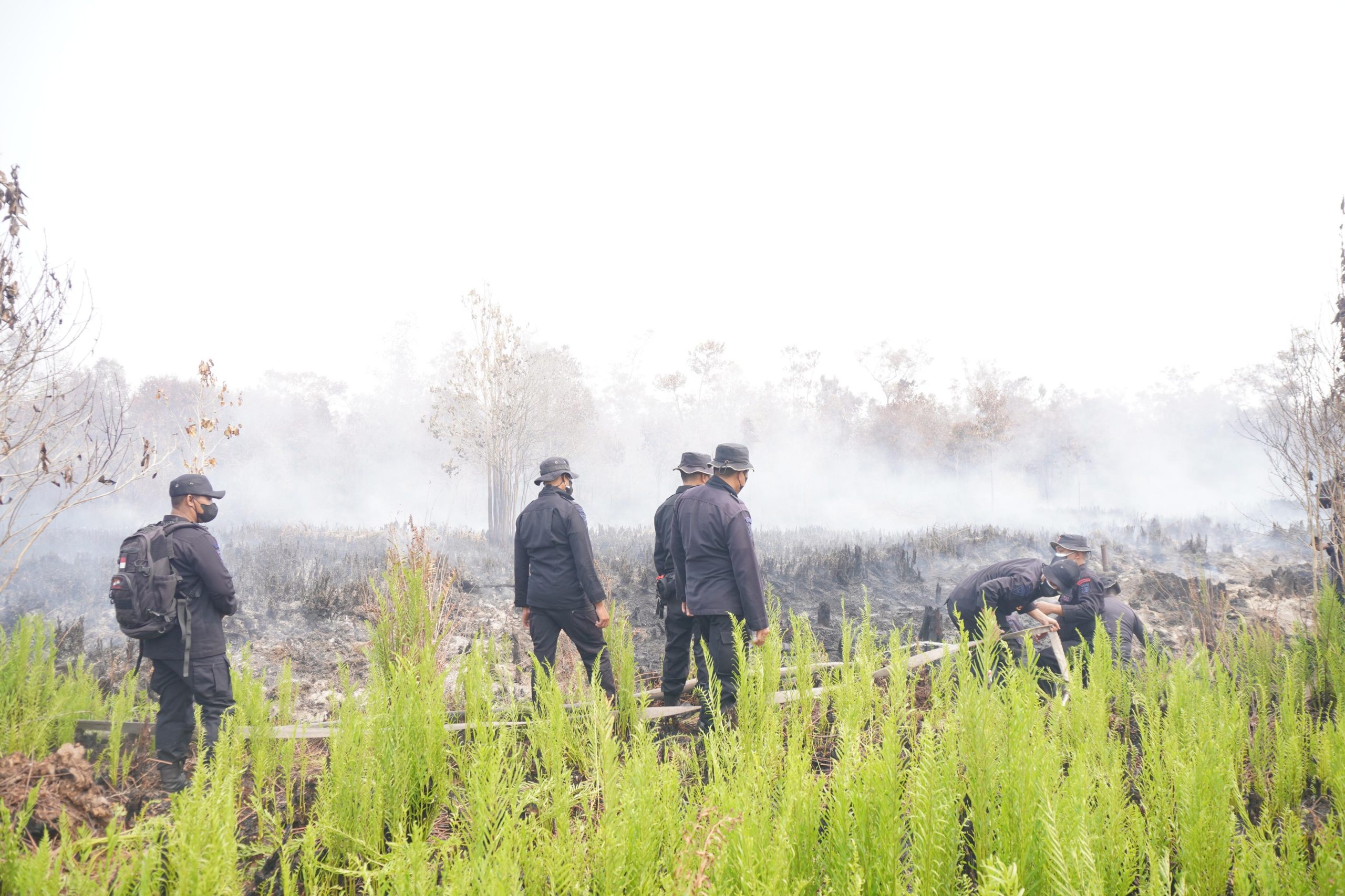 Brimob Kalteng Padamkan Karhutla di Lahan Gambut Petuk Katimpun