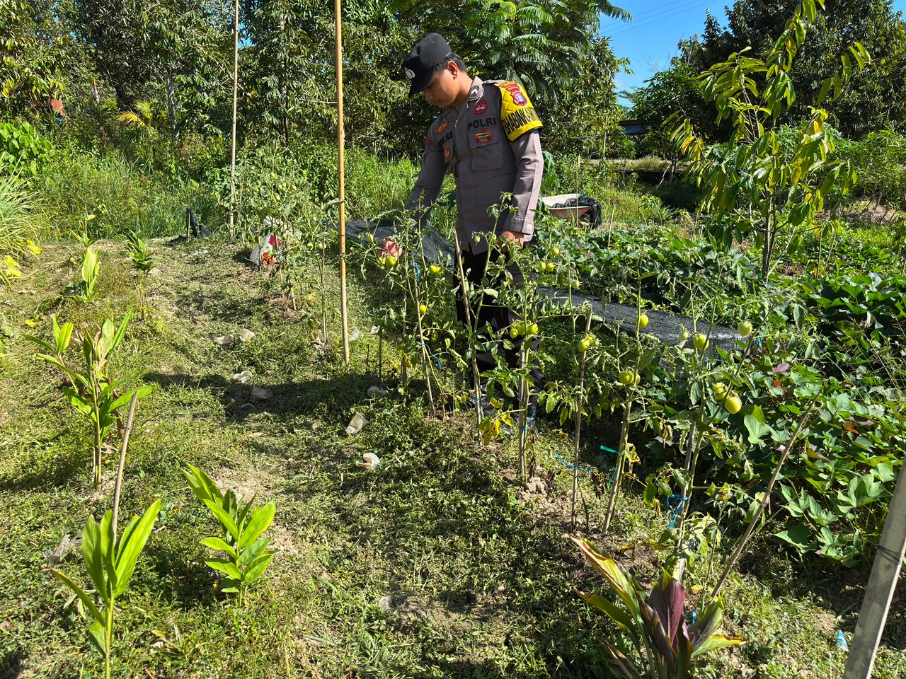 Dalam Rangka Mendukung Program Pemerintah, Bhabinkamtibmas Desa Mendawai Polsek Mendawai Cek Lokasi Pemanfaatan Lahan Pekarangan Warga