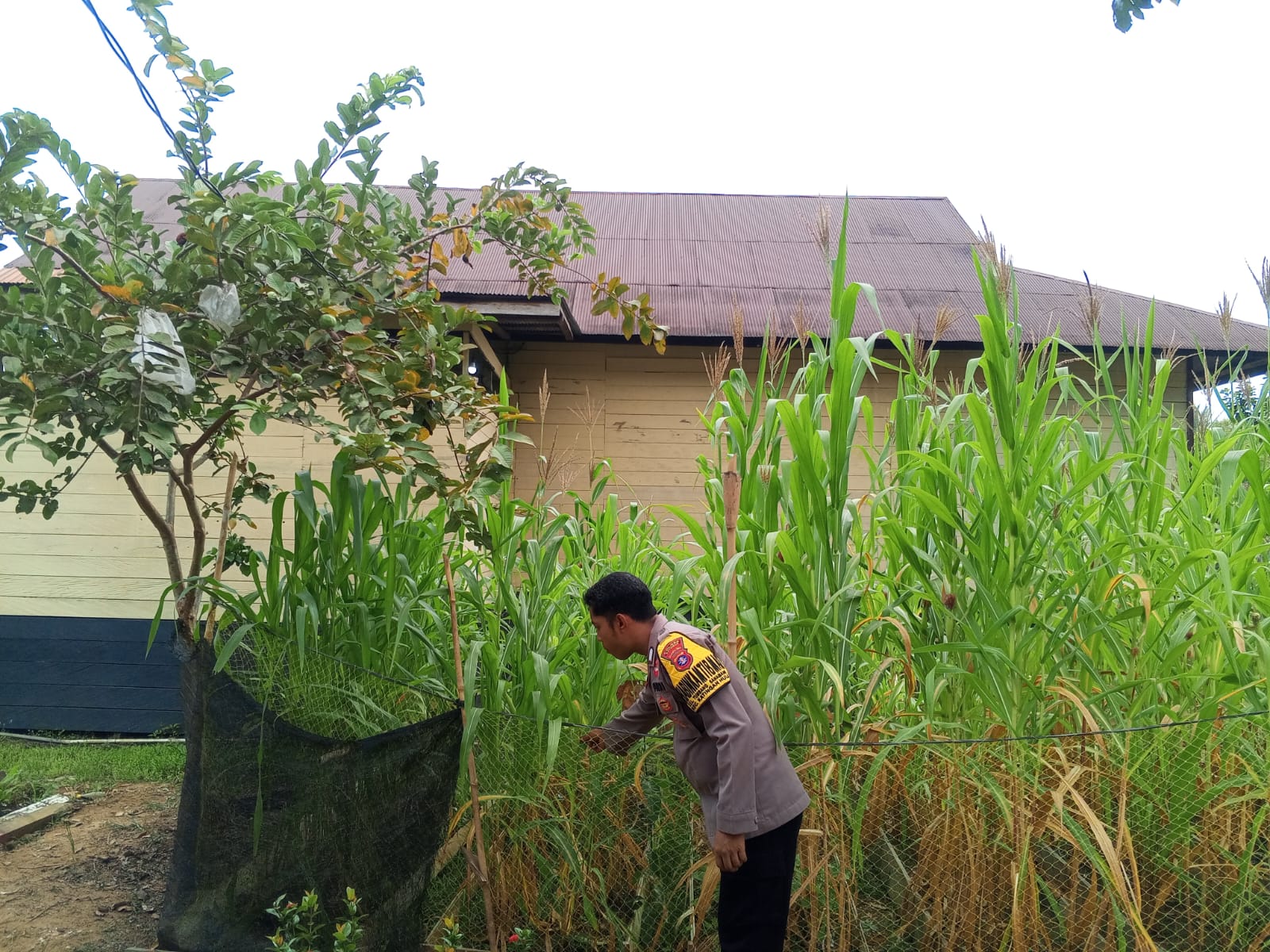 Upaya pencegahan Penambangan Emas Tanpa Ijin (PETI) di Kecamatan Katingan Hulu dan Bukit Raya, Bhabinkamtibmas sosialisasi kepada masyarakat.