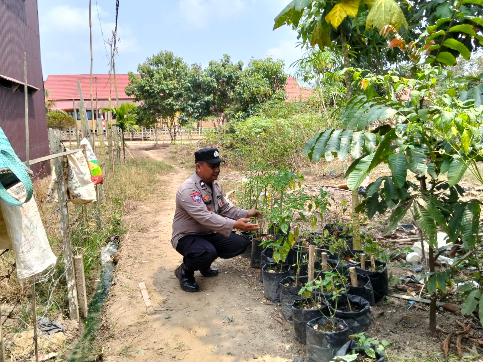 POLSEK MARIKIT DAMPINGI EDUKASI MASYARAKAT DUKUNG KETAHAN PANGAN NASIONAL