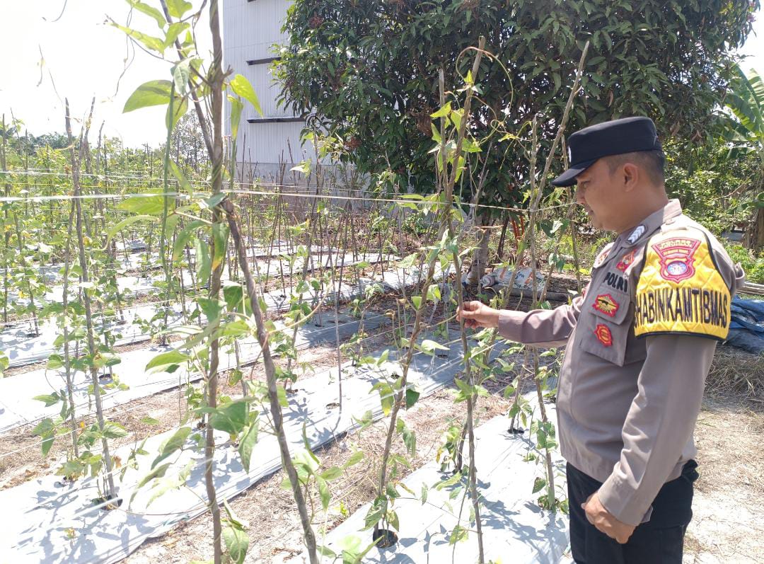 Personel Polsek Tewang Sangalang Garing dan Pulau Malan melaksanakan pengecekan lokasi pemanfaatan lahan pekarangan warga Binaannya